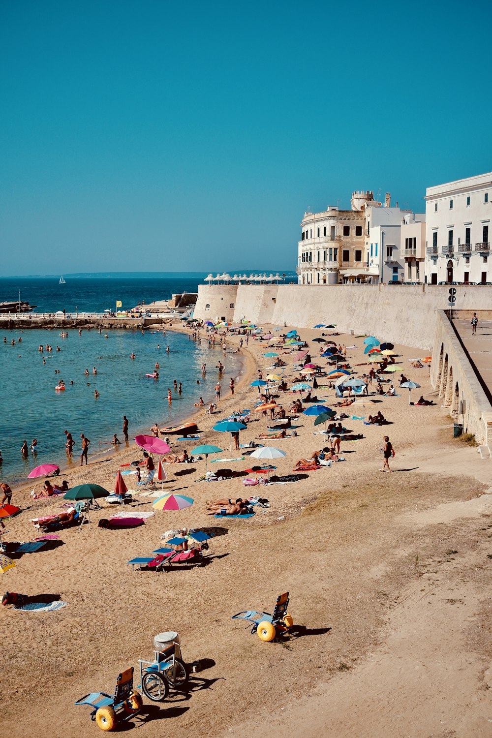 people on beach during daytime