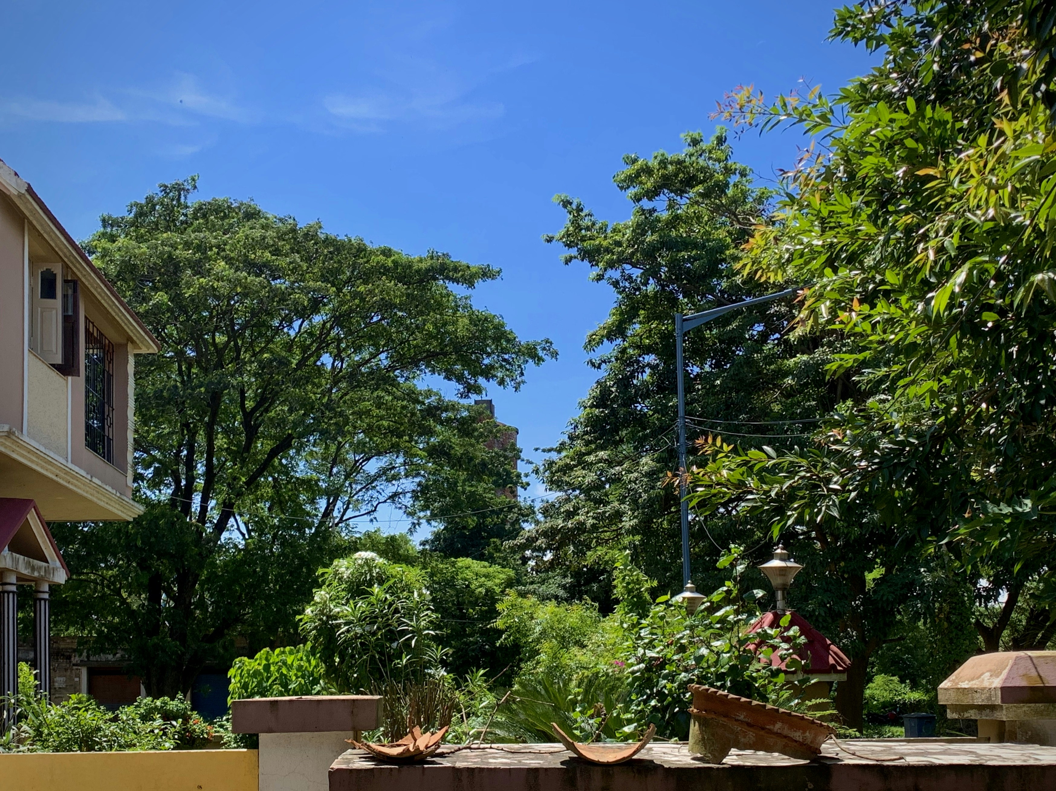 Green trees near brown wooden bench during daytime photo – Free ...