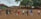 A smiling family receiving aid packages in a rural area.