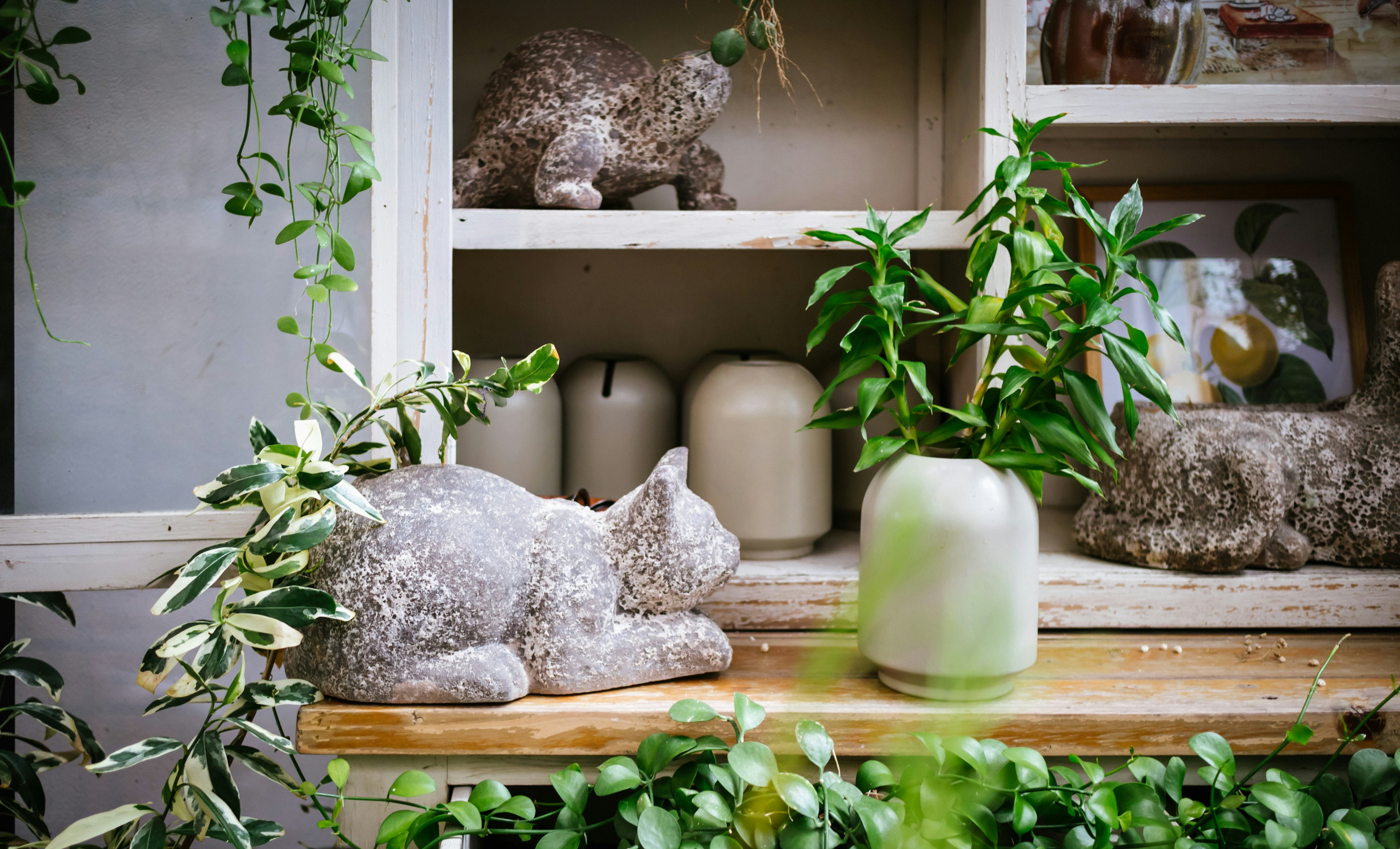 gray stone on brown wooden table