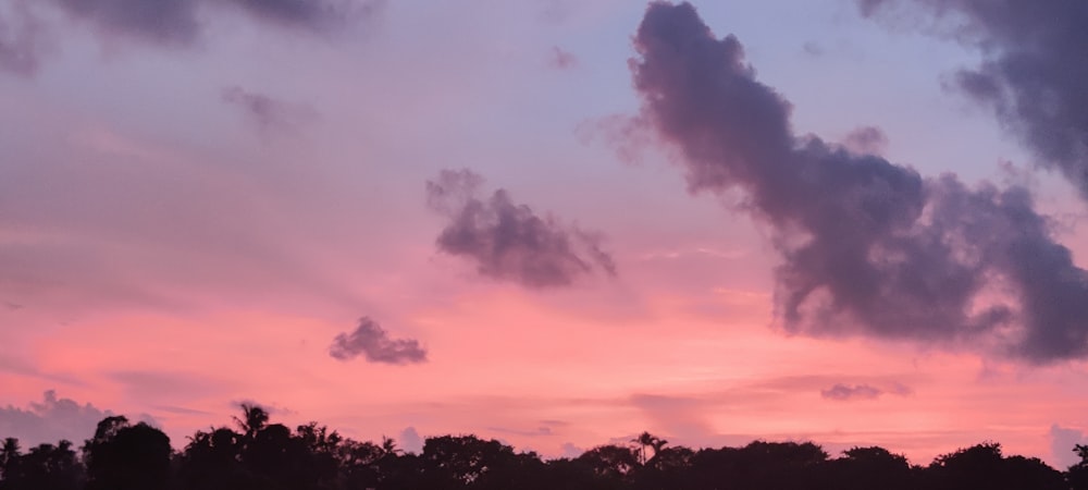 夕暮れ時の曇り空の下の木のシルエット