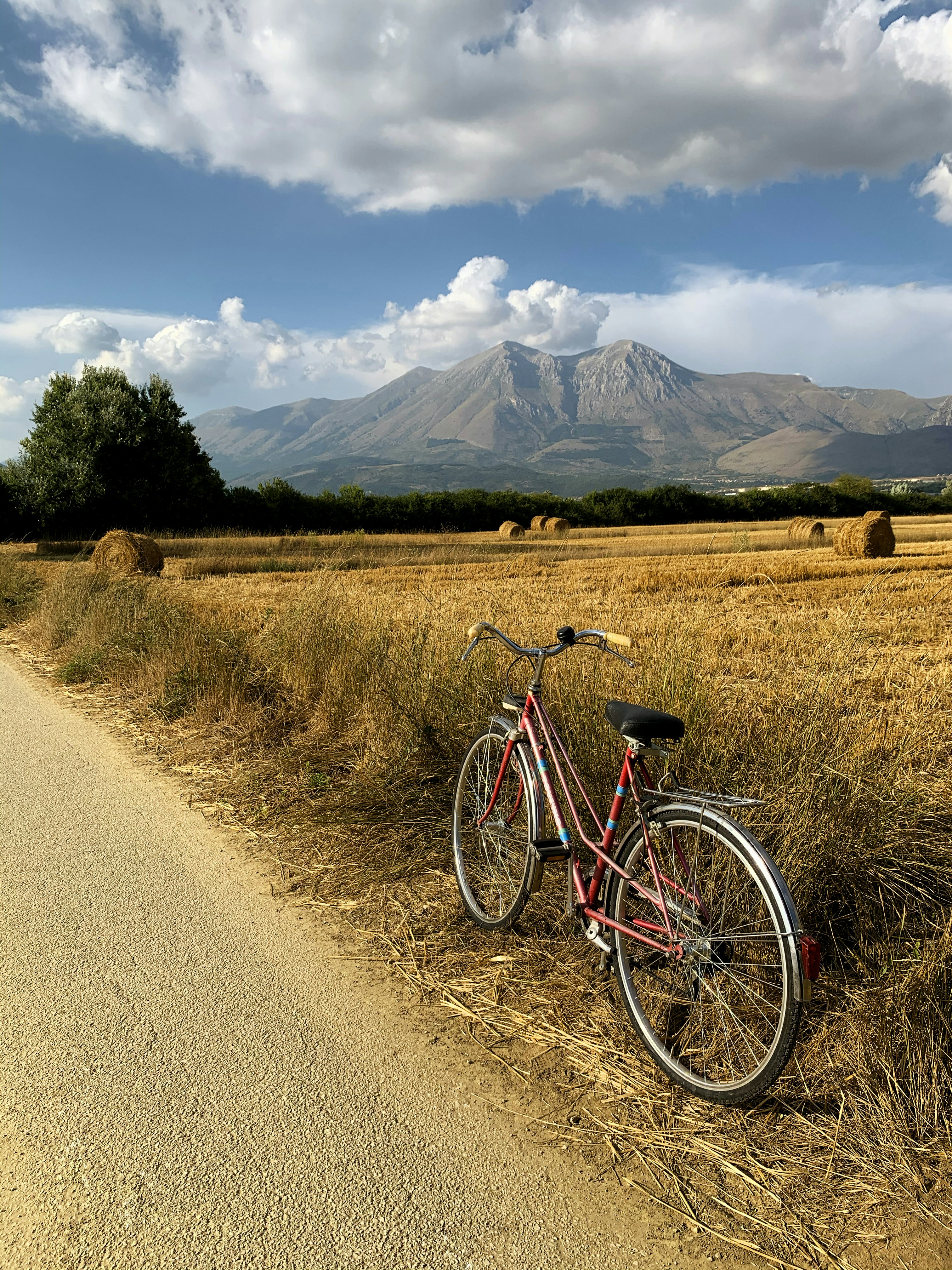 white and red city bicycle on brown field during daytime