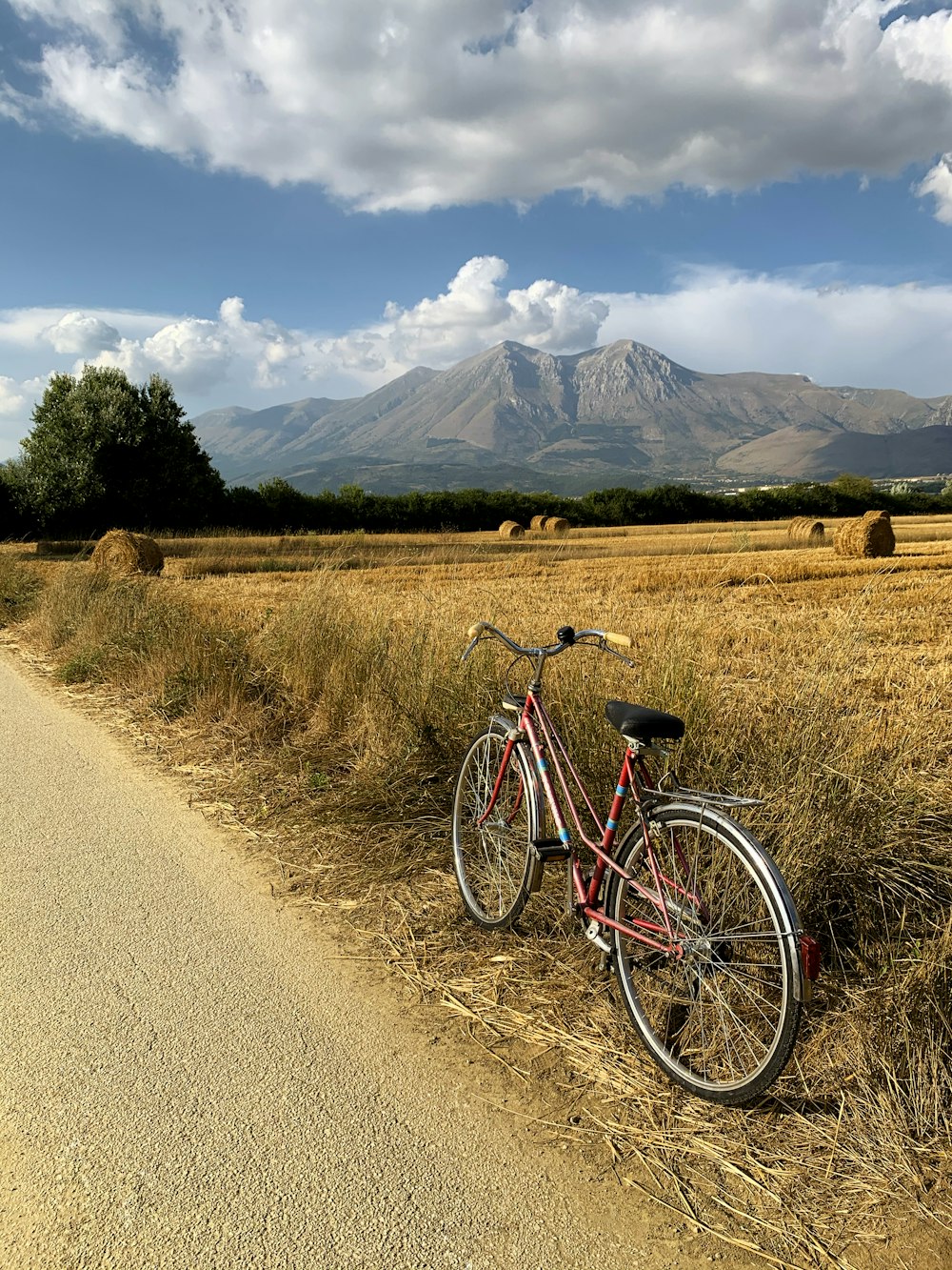 white and red city bicycle on brown field during daytime