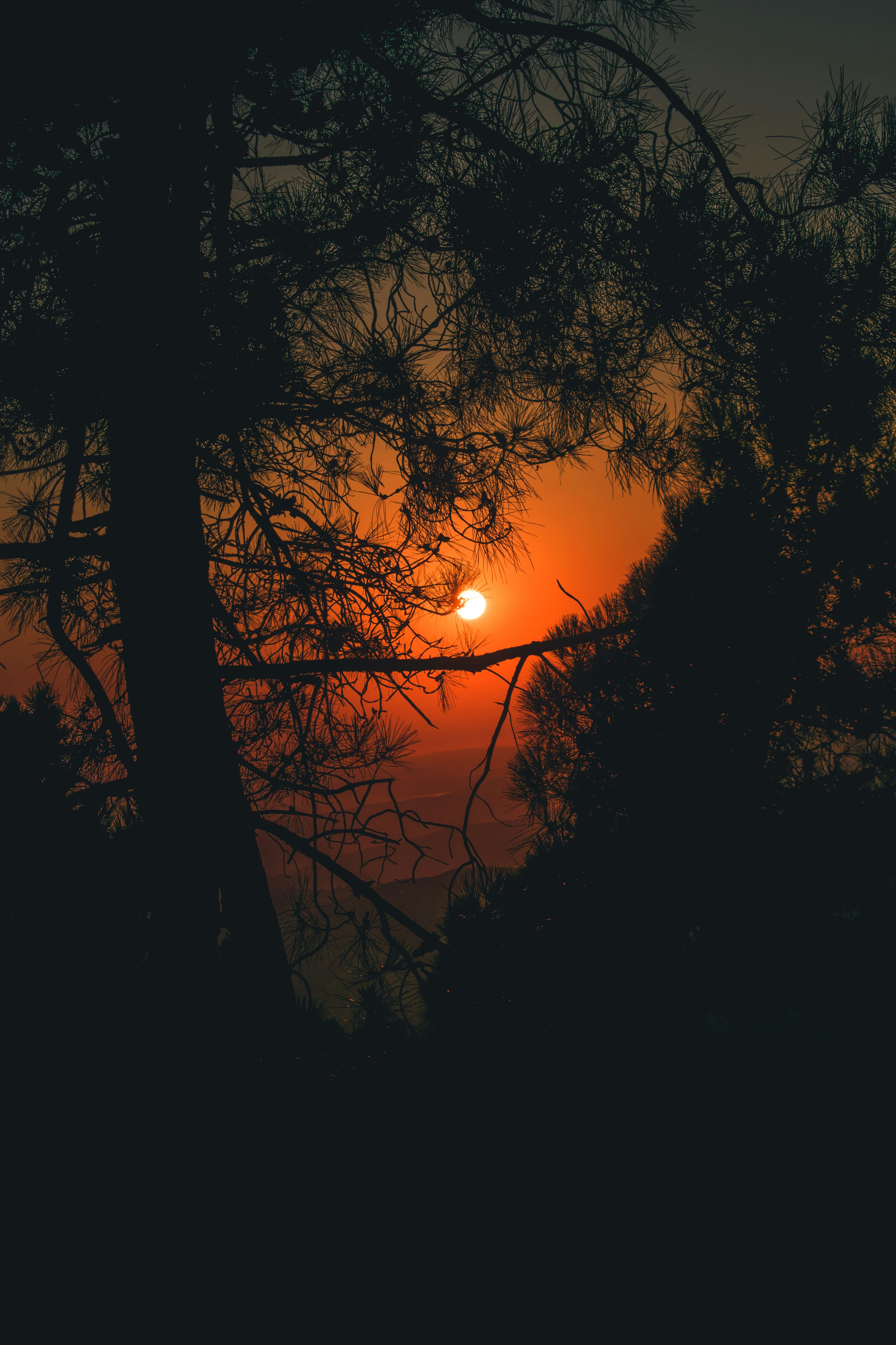 Photo by bilal_ayadi