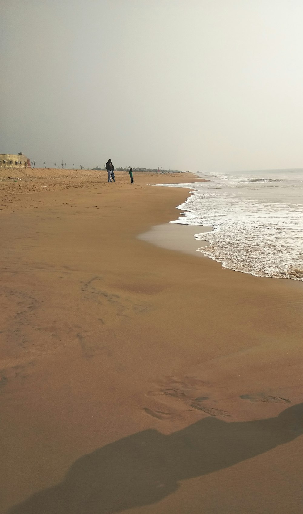 people walking on beach during daytime