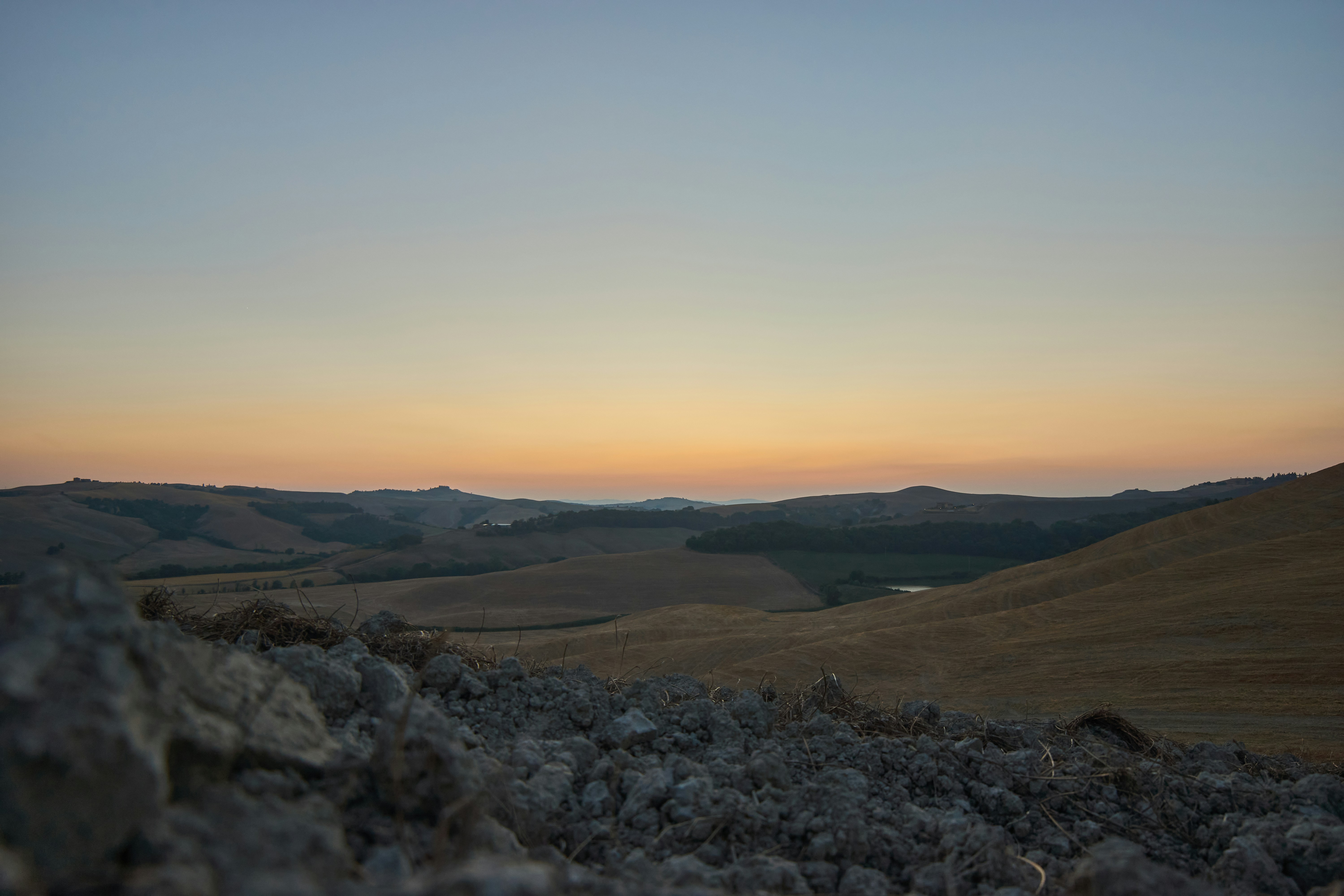 Photo by wolfgang_hasselmann
