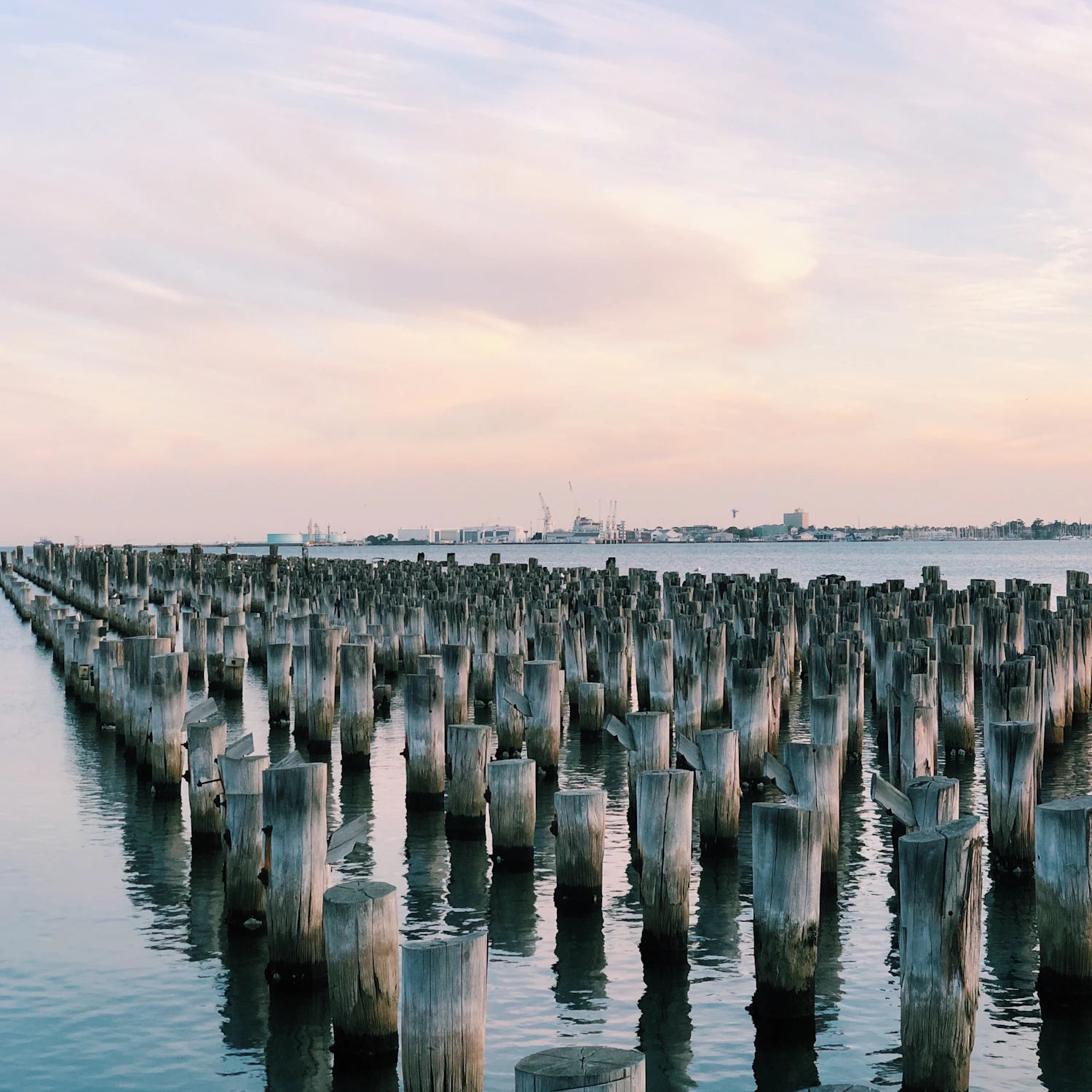 The heritage piles of Princes Pier after sunset