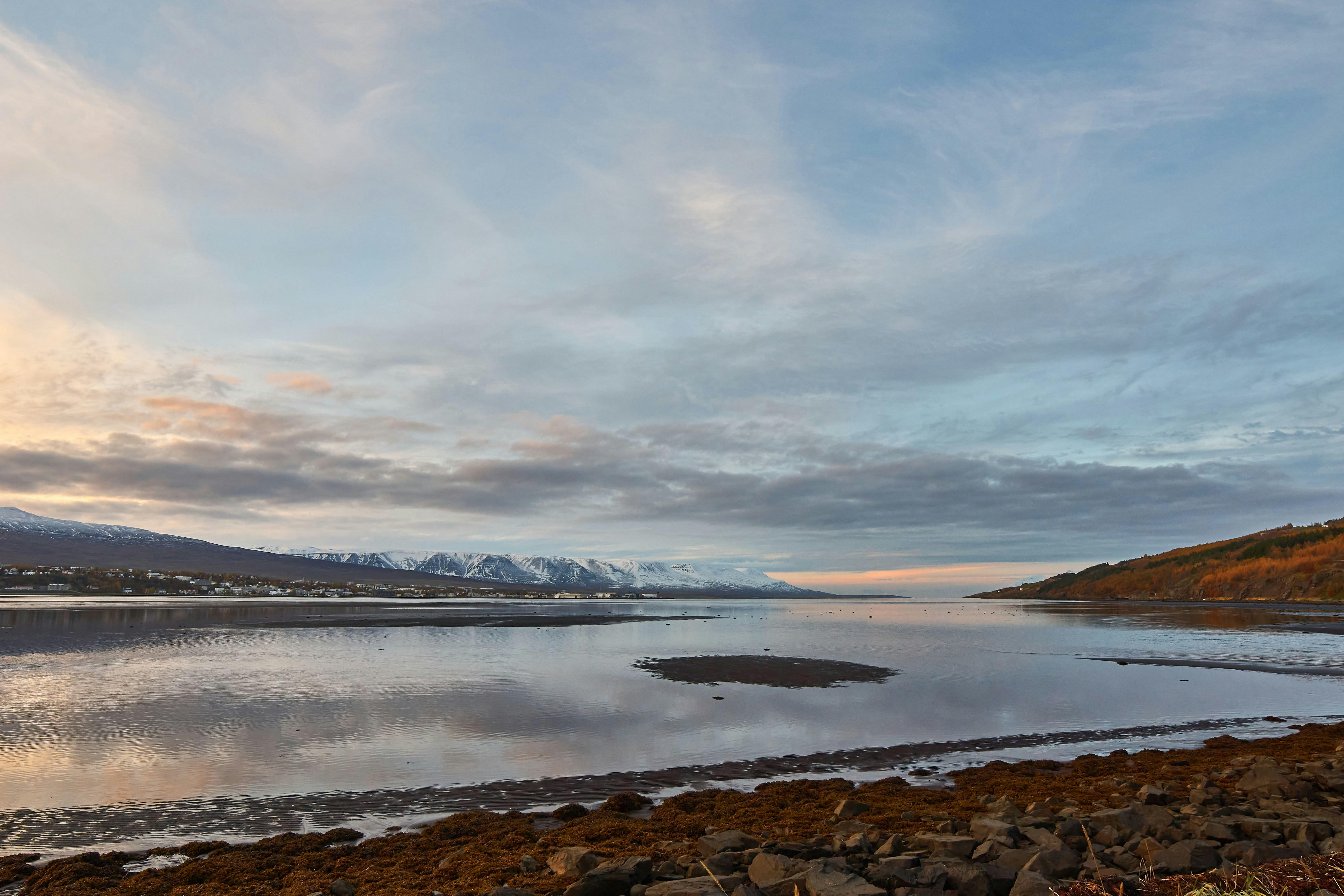 Photo by wolfgang_hasselmann