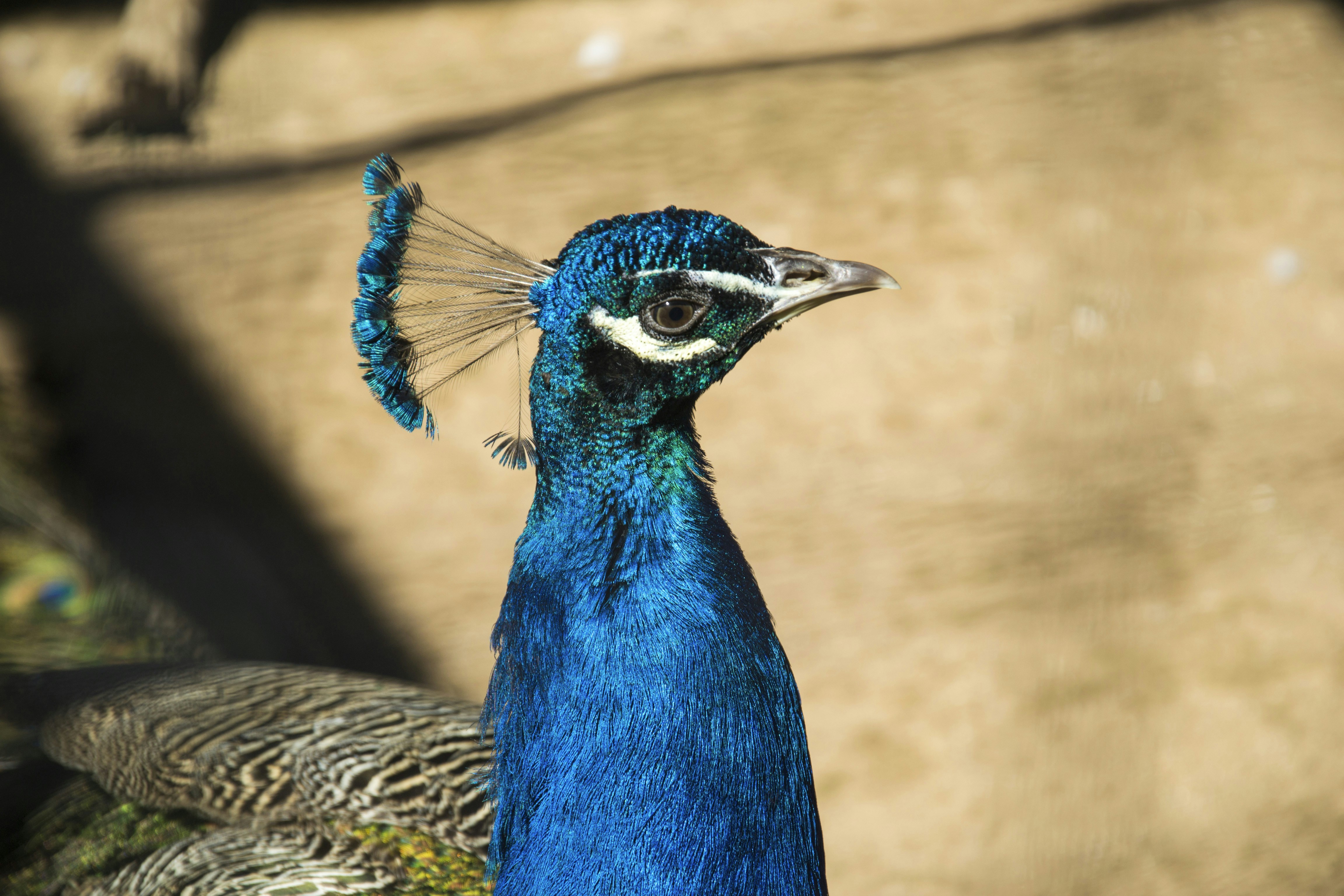 Photo by filedoesnotexist