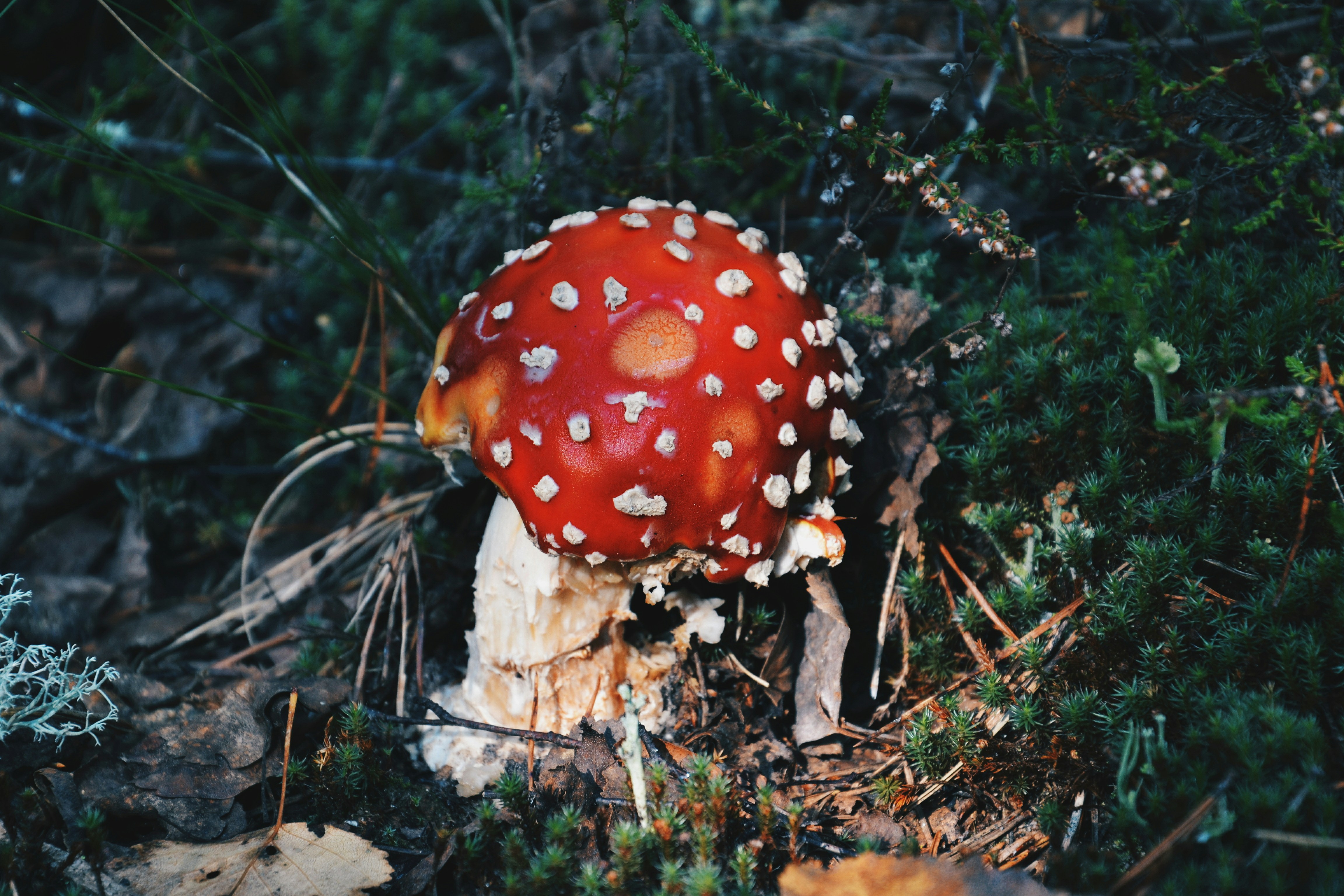 Photo by filedoesnotexist