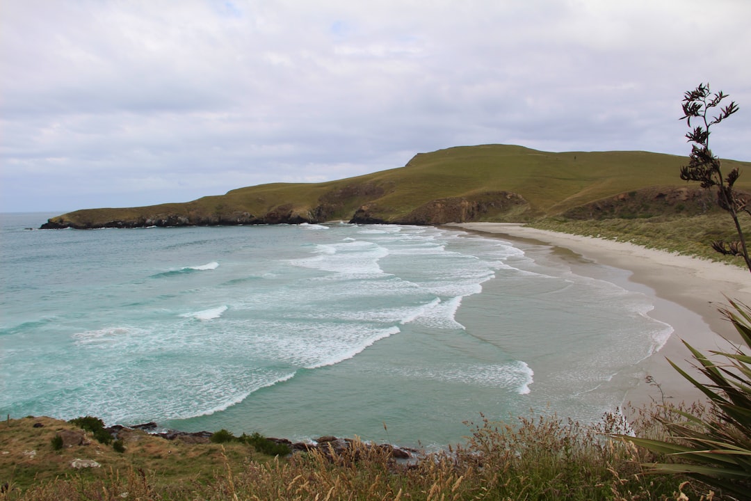 Beach photo spot Blue Penguins Pukekura Harington Point Road Moeraki