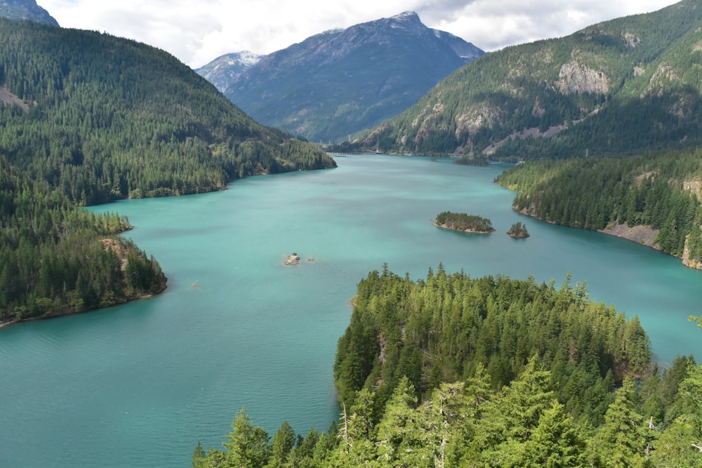 green trees on mountain near lake during daytime