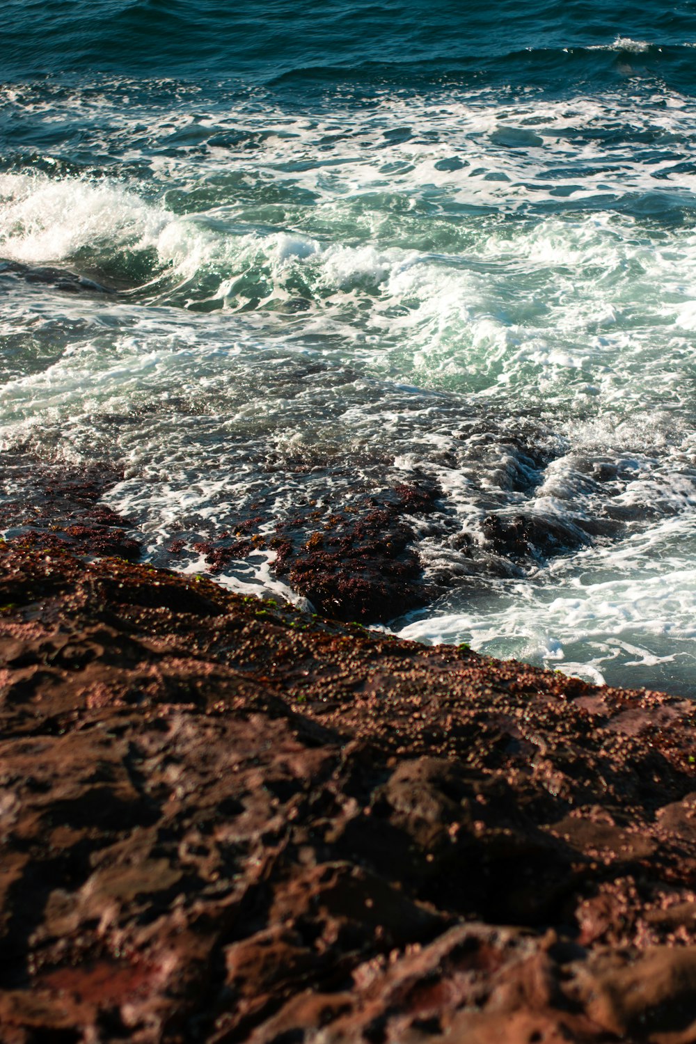 ocean waves crashing on brown rocky shore during daytime