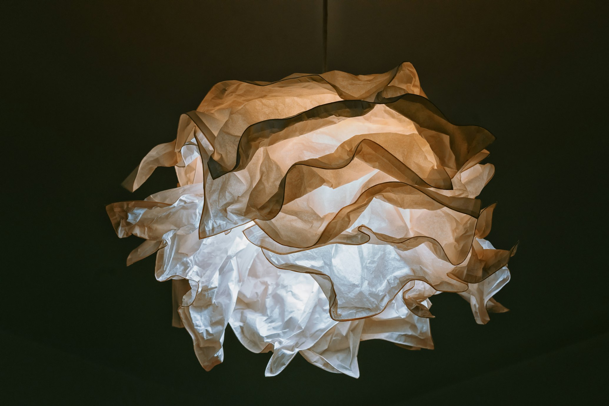 Your Body's First Response to a Cold Matters More Than the Virus Itself