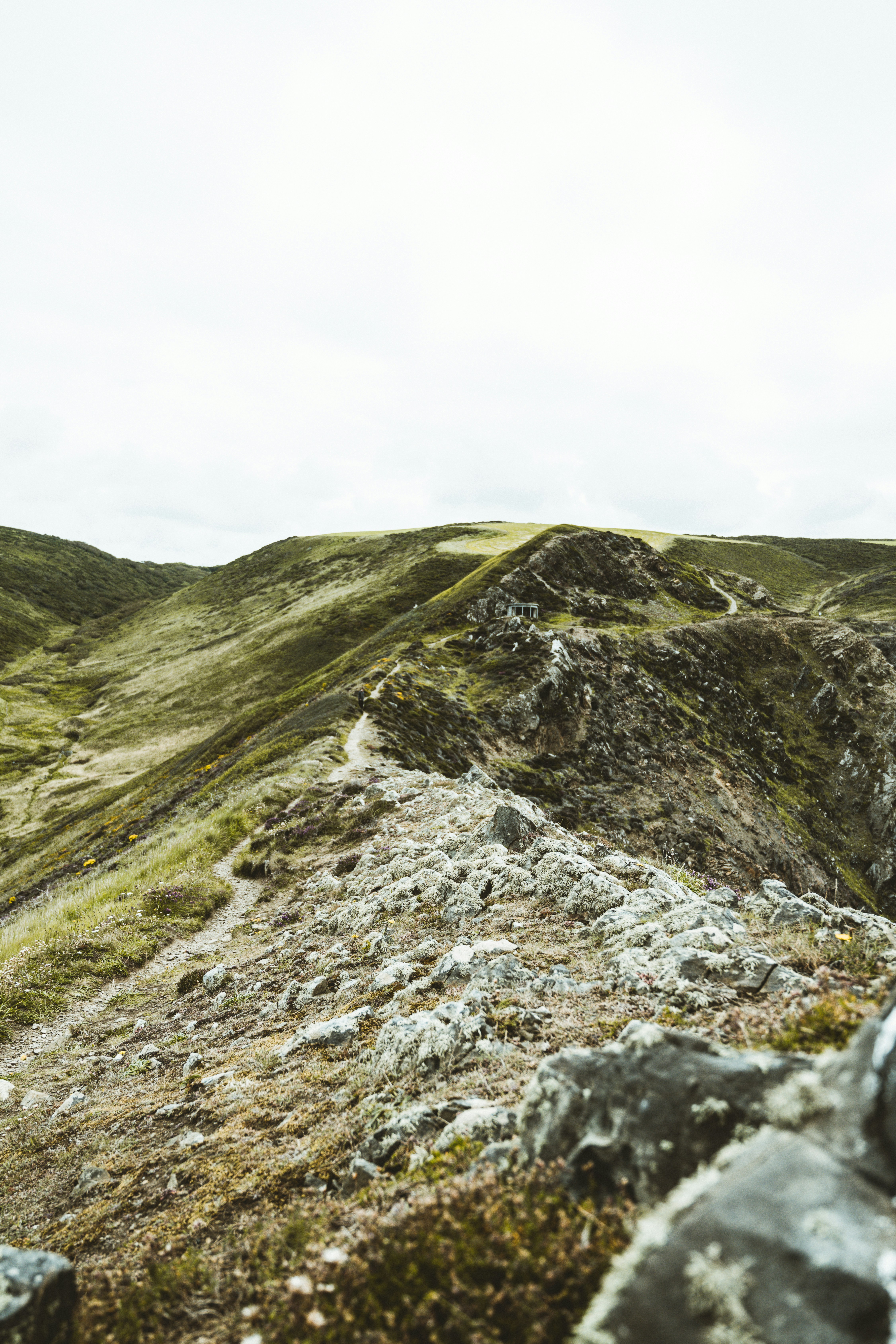 Photo by anniespratt