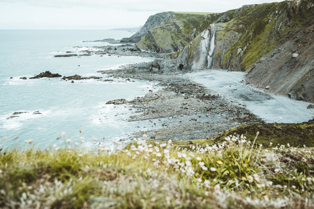 green grass on rocky mountain beside sea during daytime