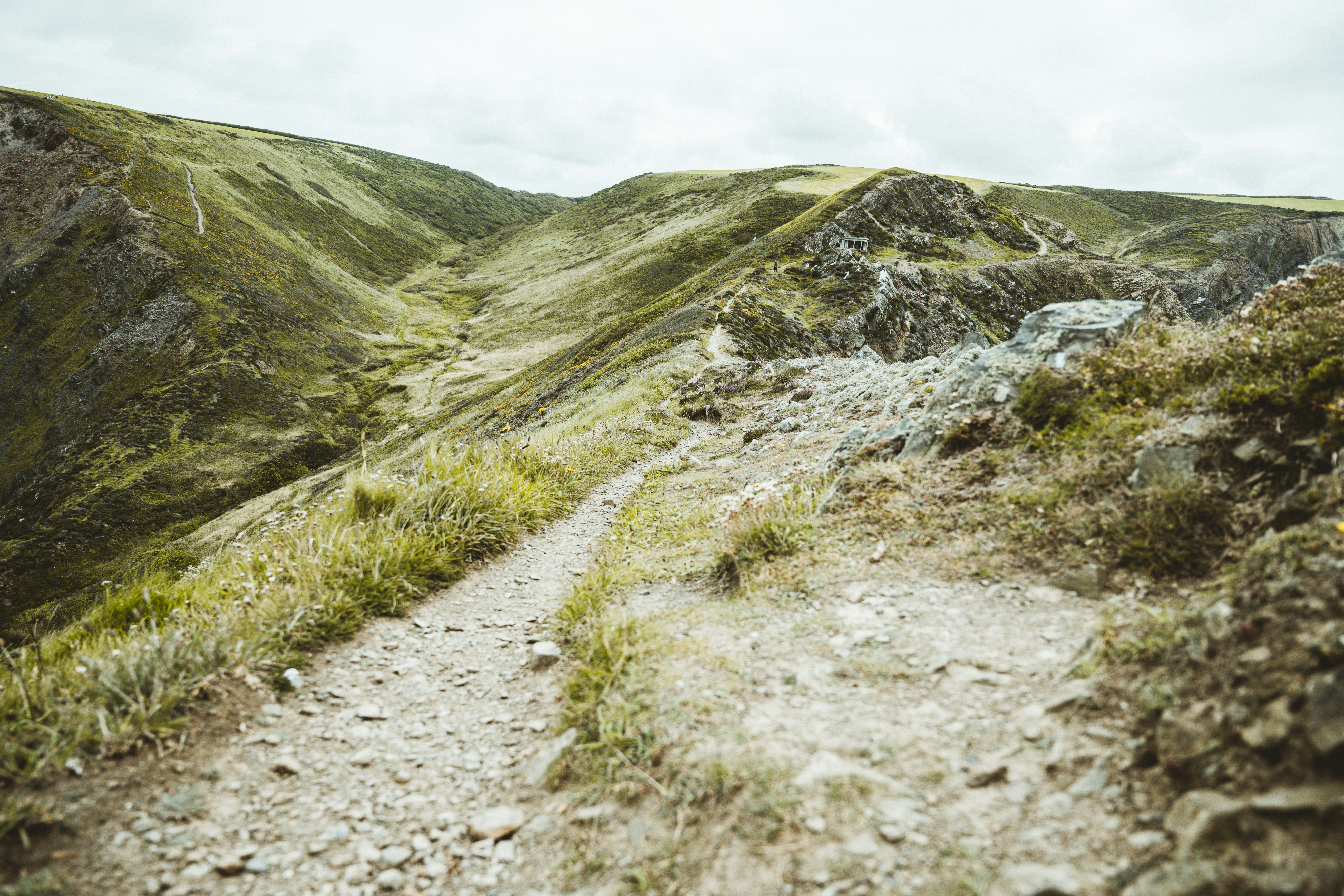 Photo by anniespratt