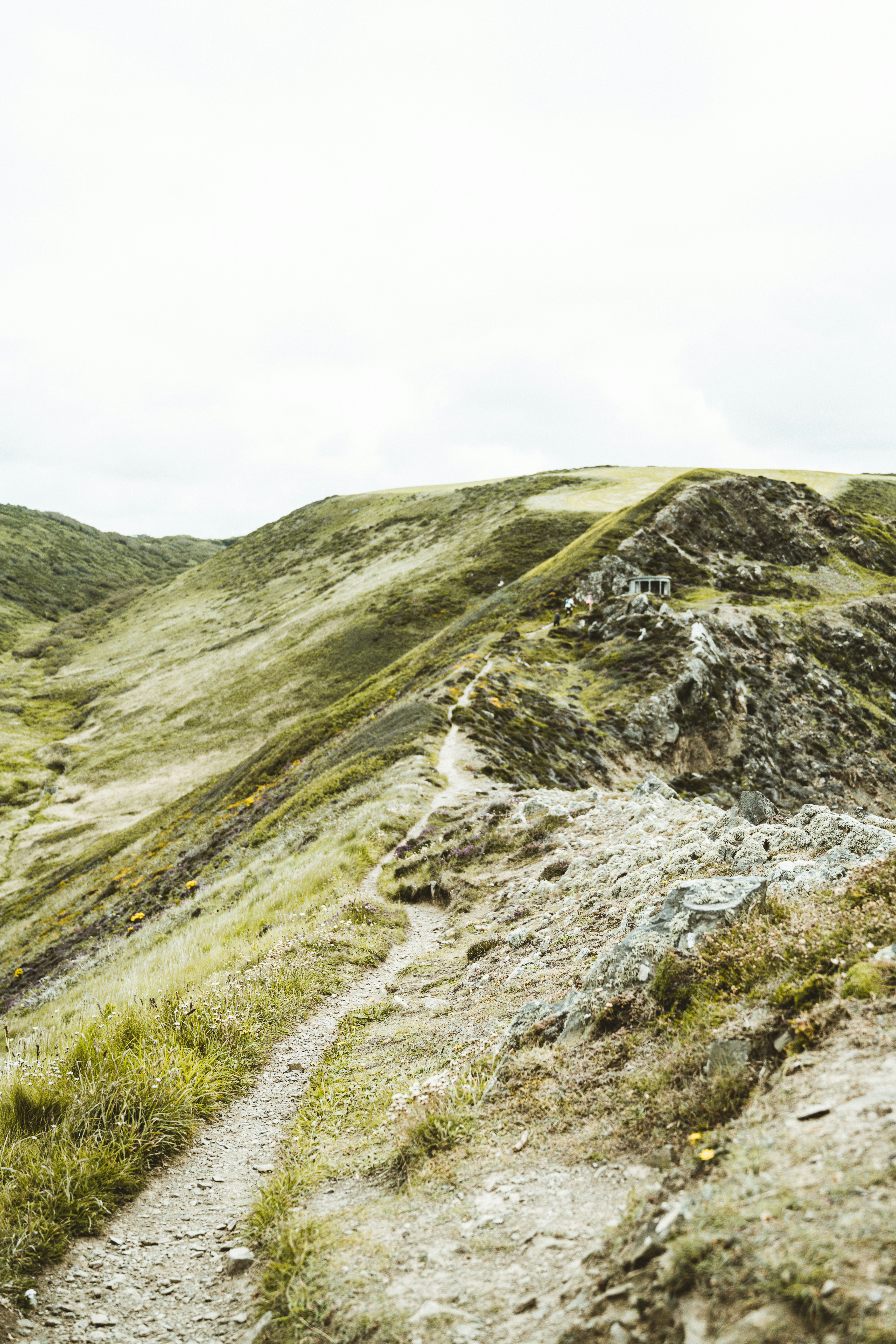 Photo by anniespratt