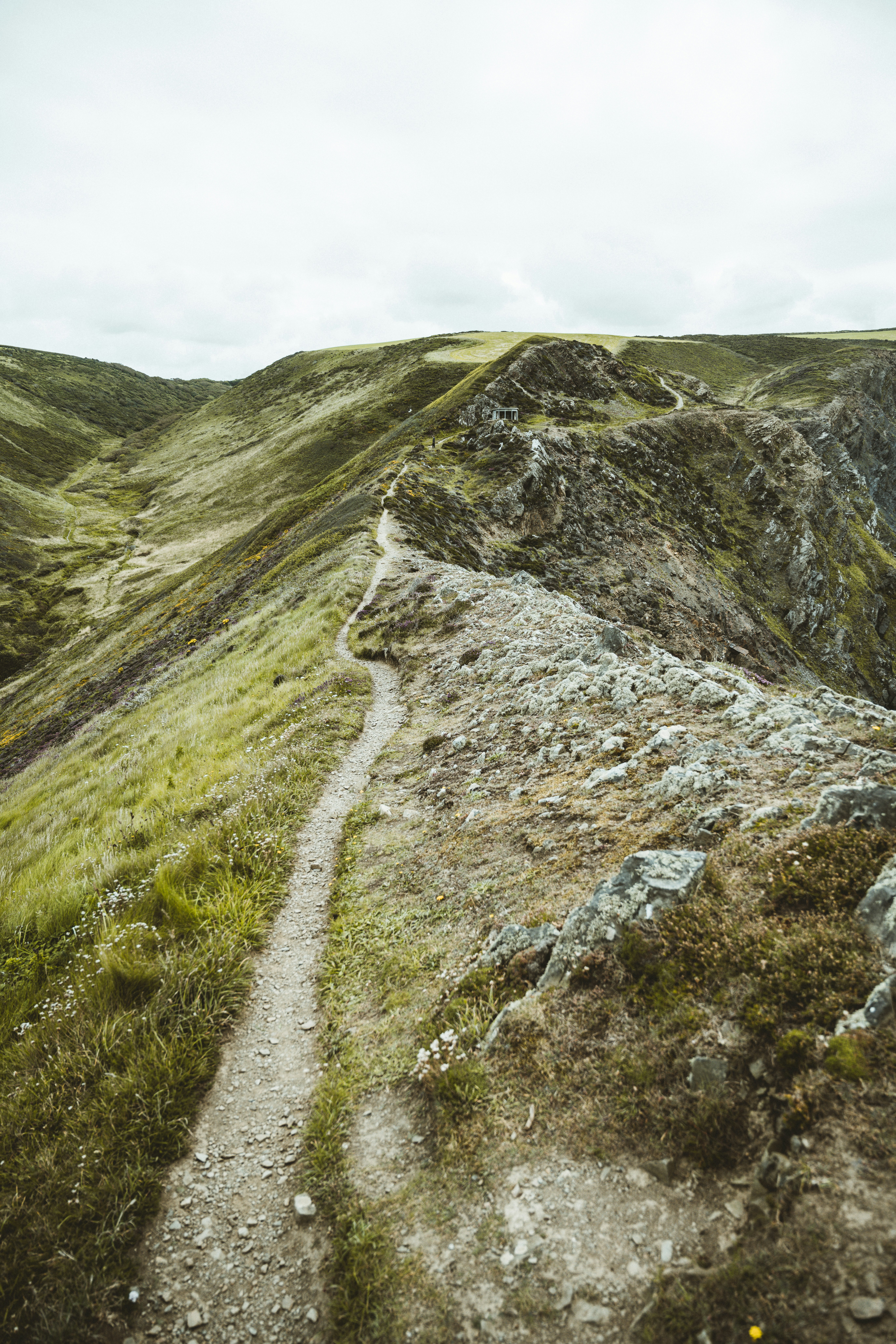 Photo by anniespratt