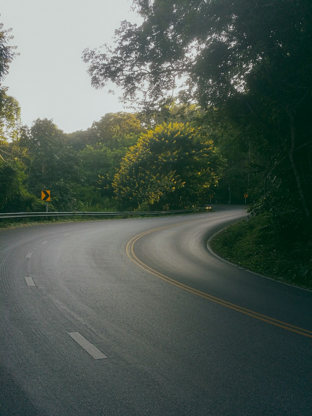 gray asphalt road between green trees during daytime