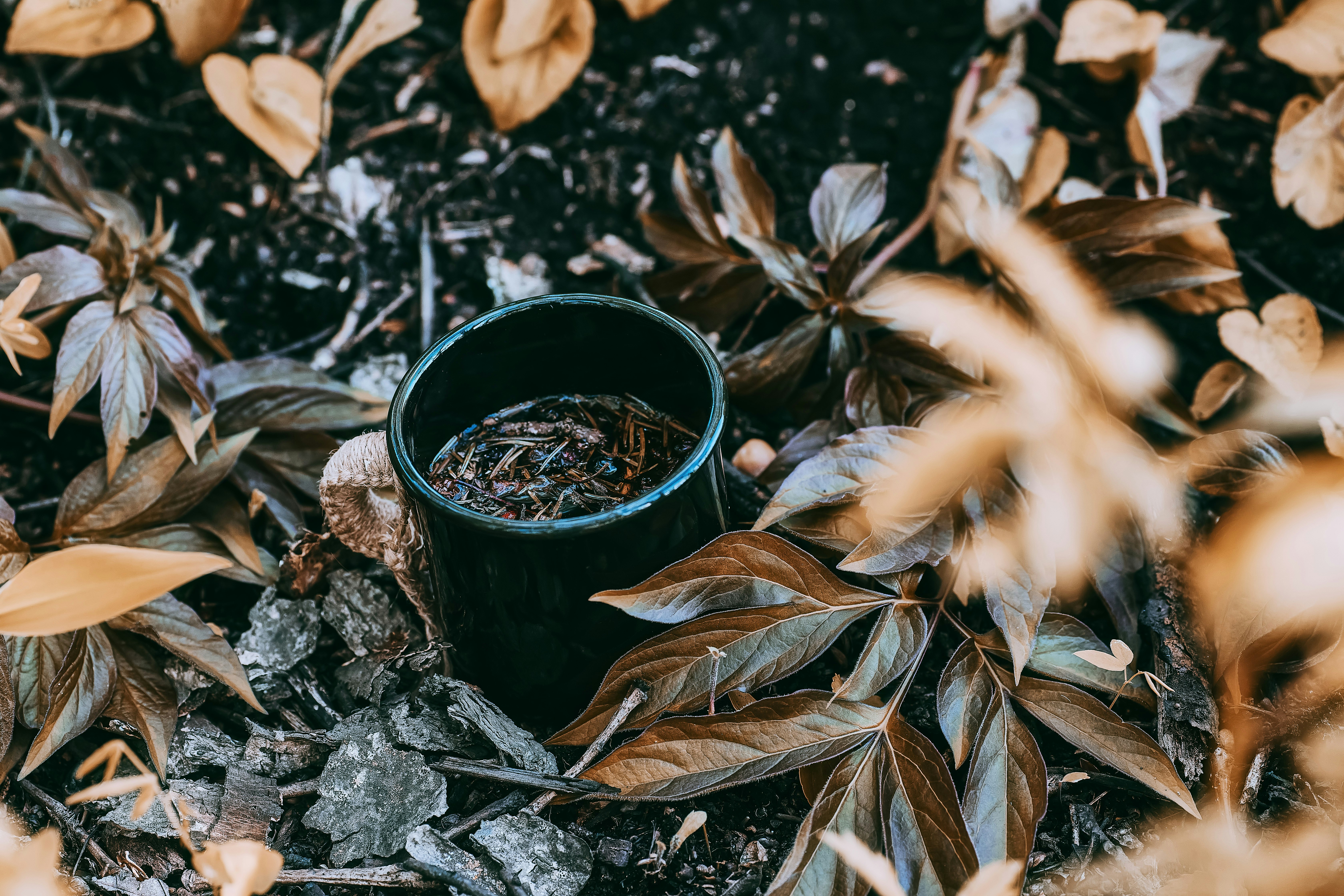 brown dried leaves on black round pot