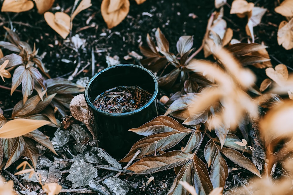 foglie secche marroni su vaso rotondo nero