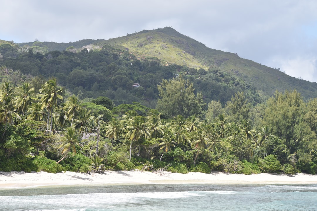IDC Seychelles to Add First ATR Aircraft in 2025 Amid Outer Islands… — IDC Seychelles to Add Firs…, photo 2
