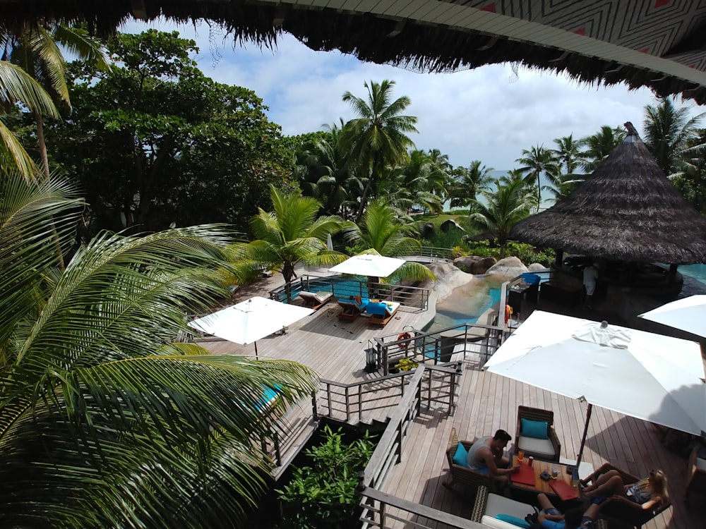 white and blue patio umbrella near green palm tree during daytime