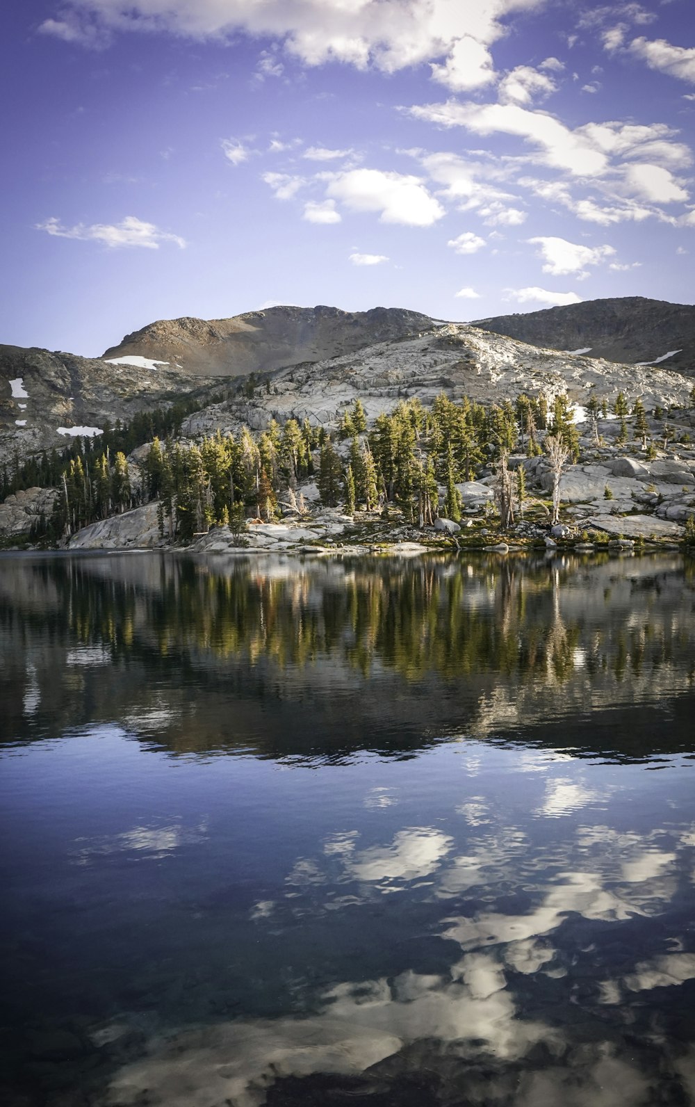 green trees near body of water during daytime