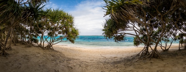 Vanuatu Cultural Insights: History, Customs & Festivals