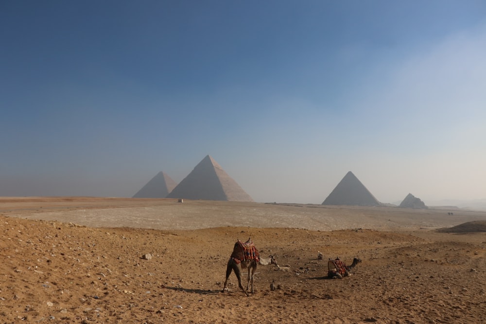 pessoas andando na areia marrom perto da pirâmide durante o dia