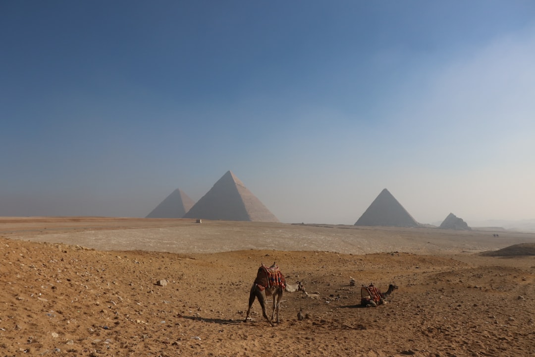 Desert photo spot The Pyramids Of Giza Egypt