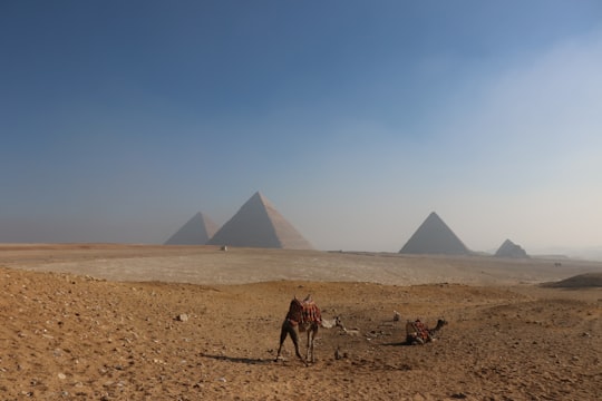 people walking on brown sand near pyramid during daytime in The Pyramids Of Giza Egypt