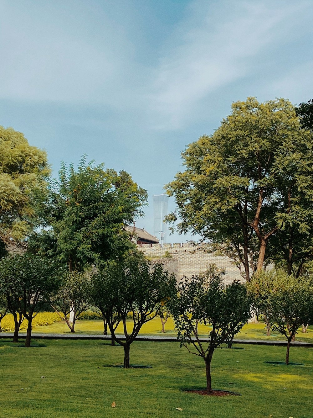 green trees on green grass field under blue sky during daytime