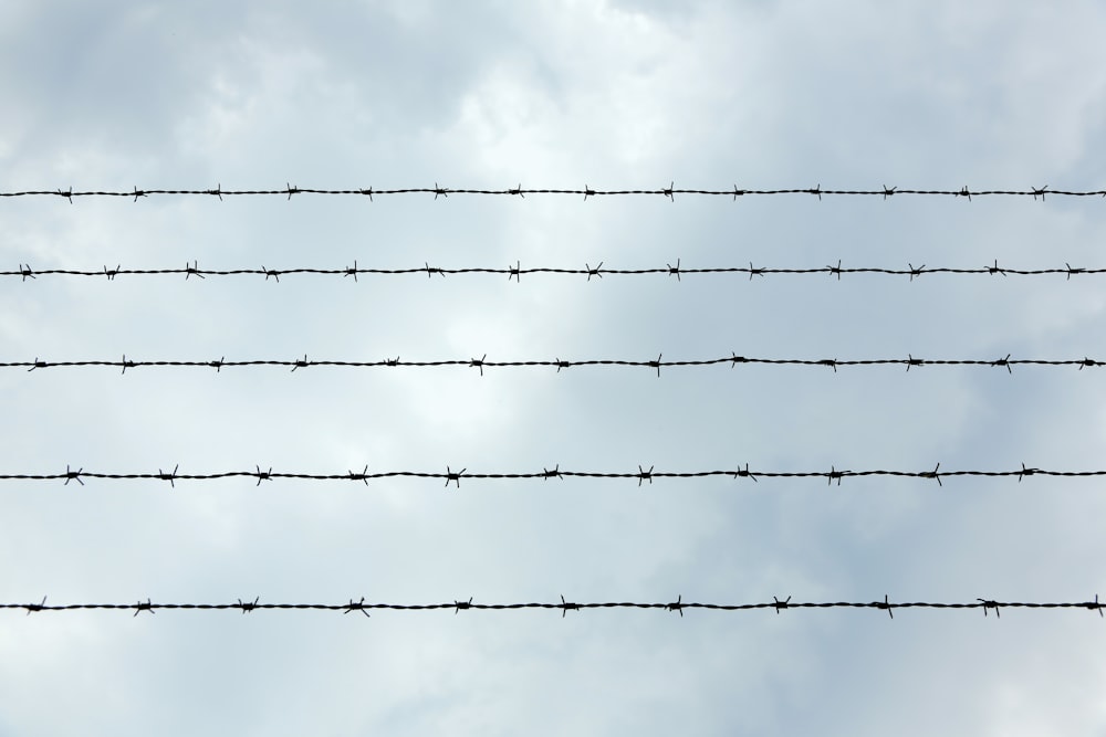 black electric wires under white clouds during daytime