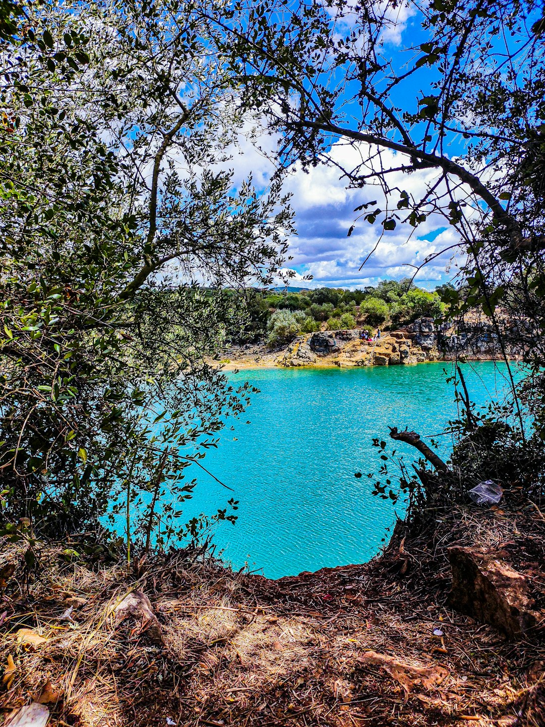 Nature reserve photo spot Pedra Furada Lisbon Zoo