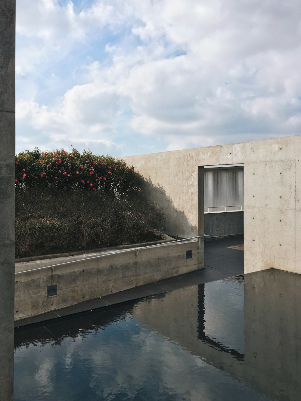 white concrete building near green trees during daytime