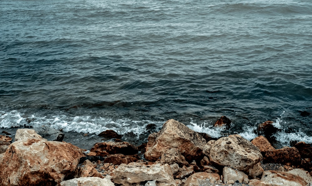 brown rocks near body of water during daytime