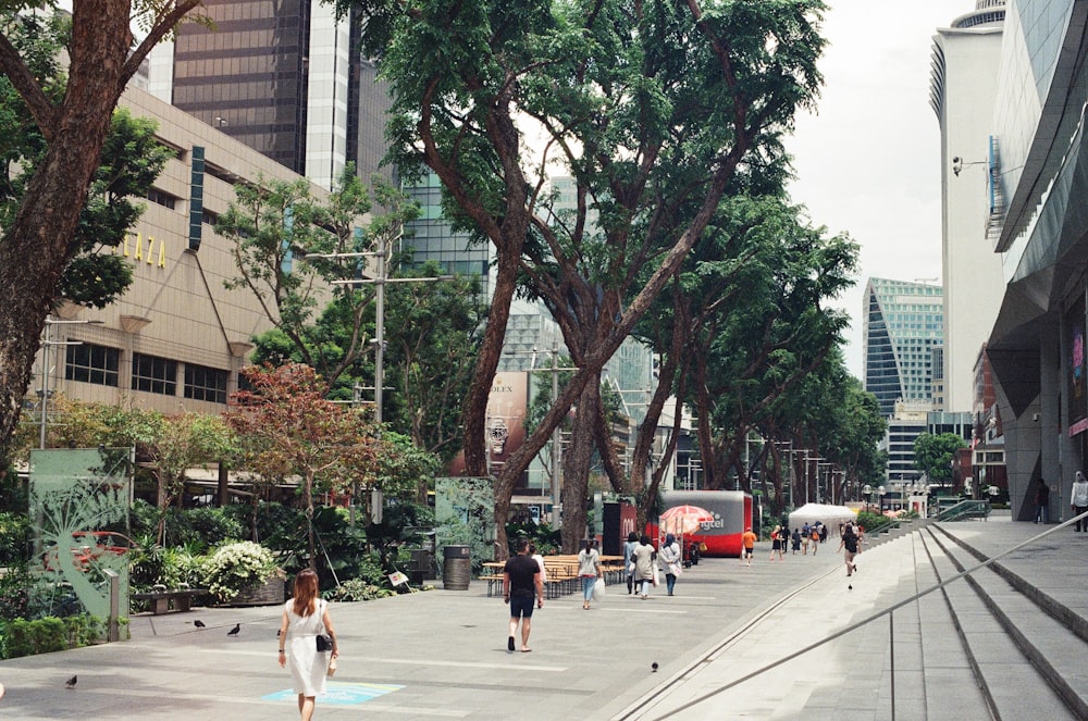 Persone che camminano sul marciapiede vicino ad alberi verdi ed edifici durante il giorno