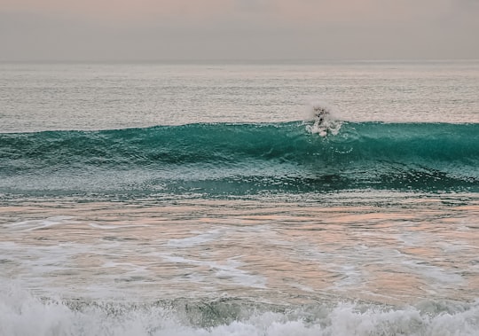 person surfing on sea waves during daytime in Laguna Beach United States