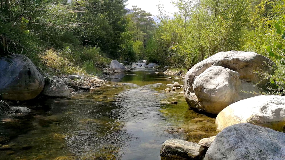 gray rocks on river during daytime