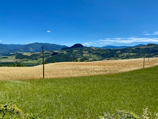 green grass field near mountain under blue sky during daytime in 29020 Travo Italy