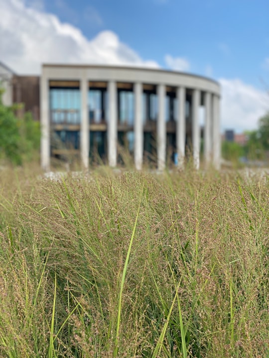 green grass field near white concrete building during daytime in Nashville United States