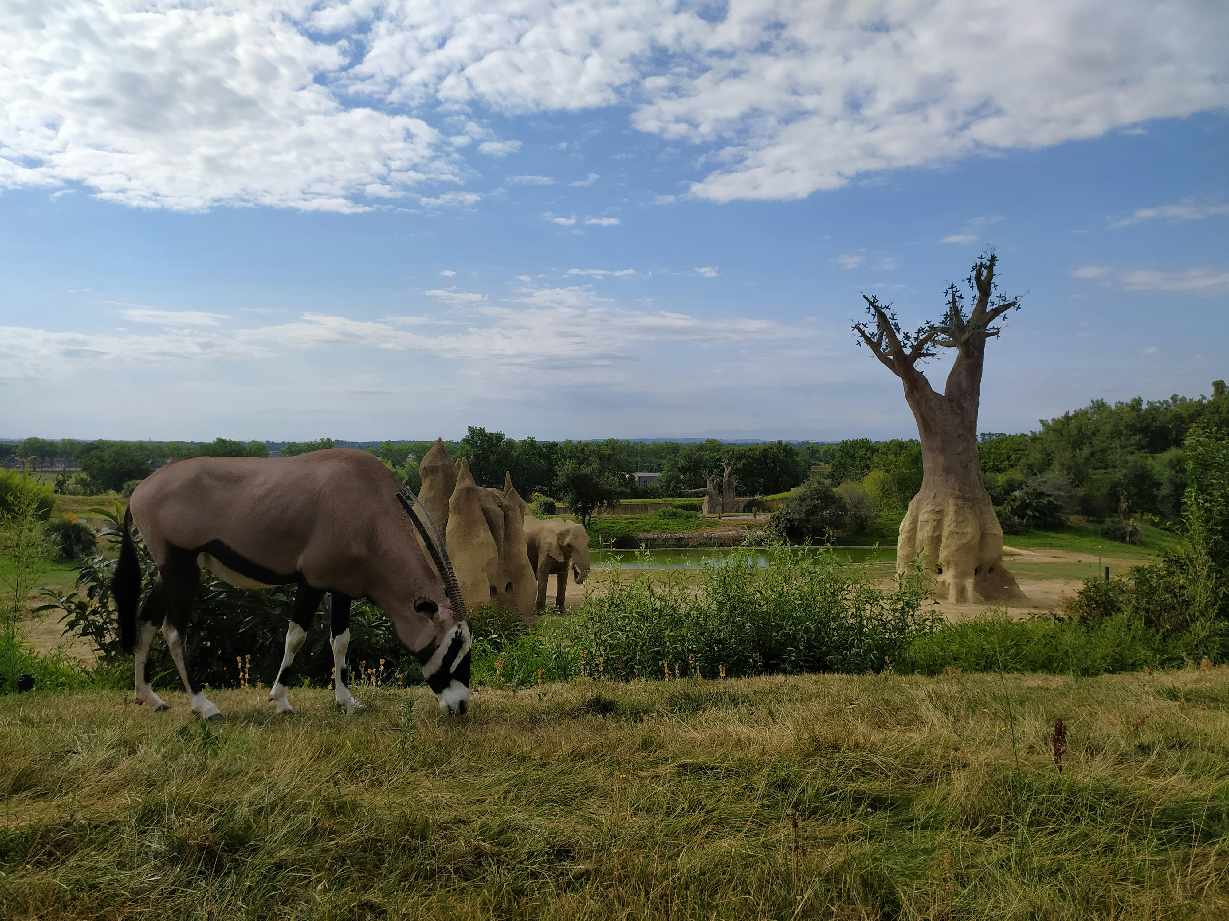 Le Zoo African Safari,parc zoologique de Plaisance-du-Touch