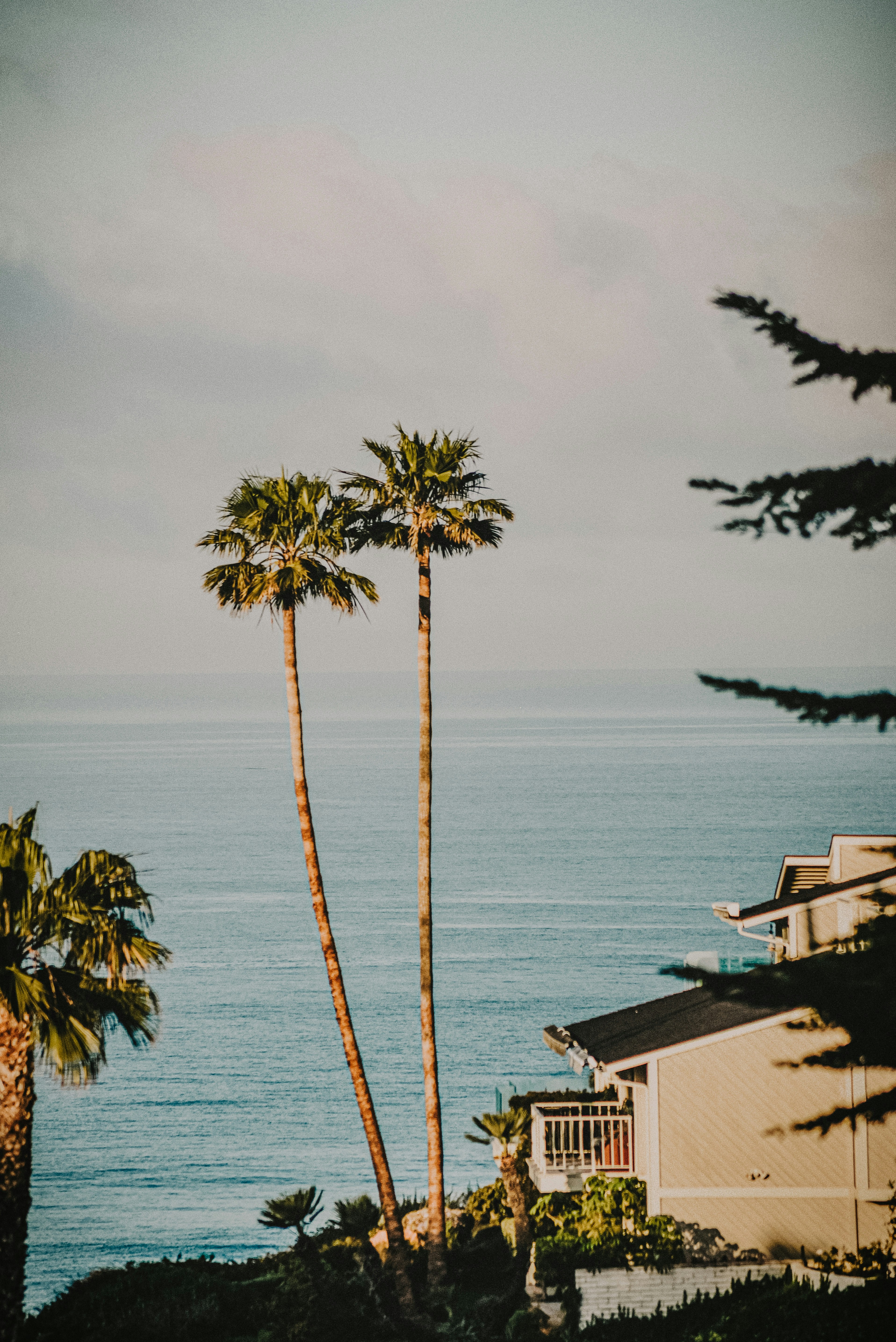 Photo by framesforyourheart