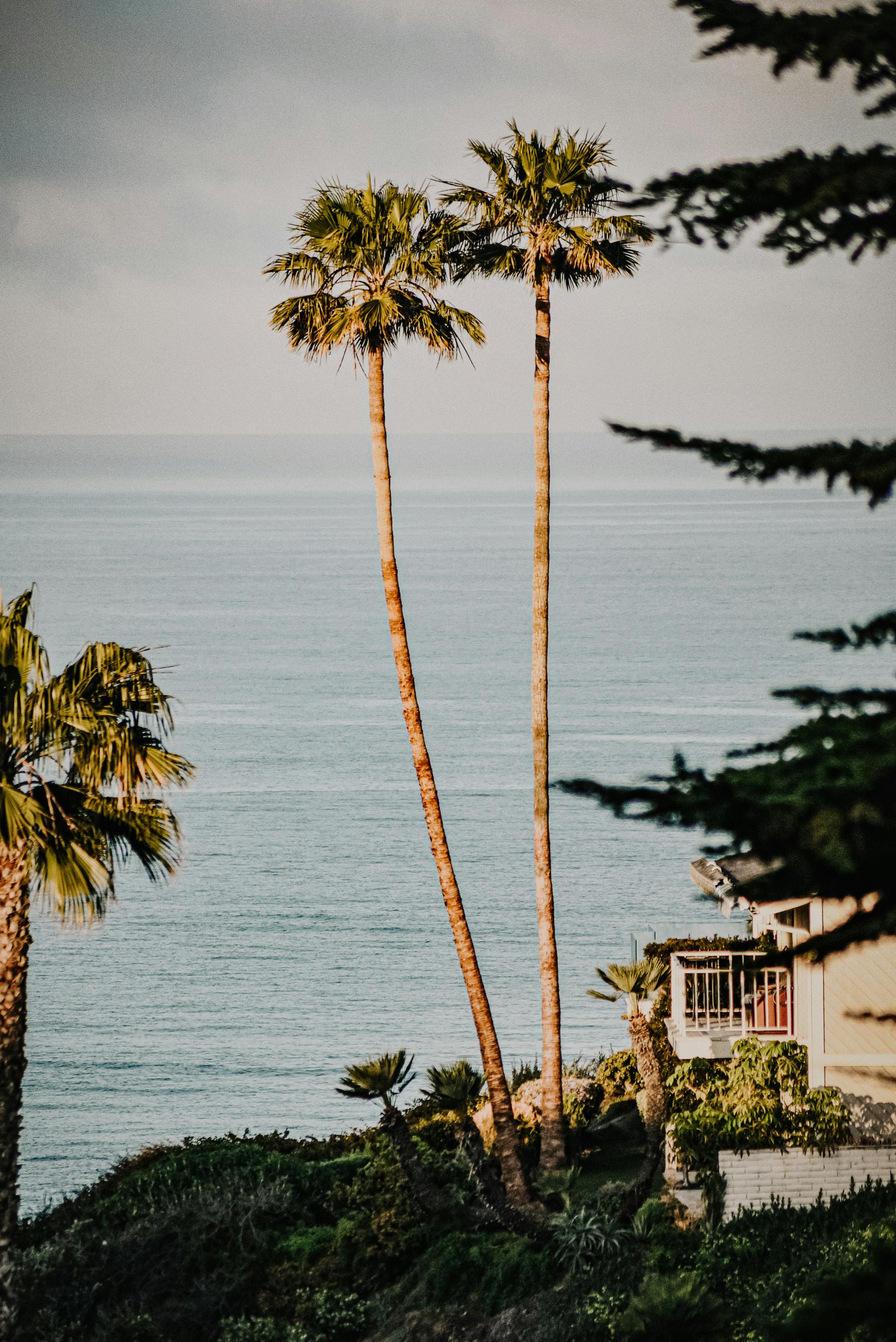 White and brown house near body of water during daytime photo – Free ...