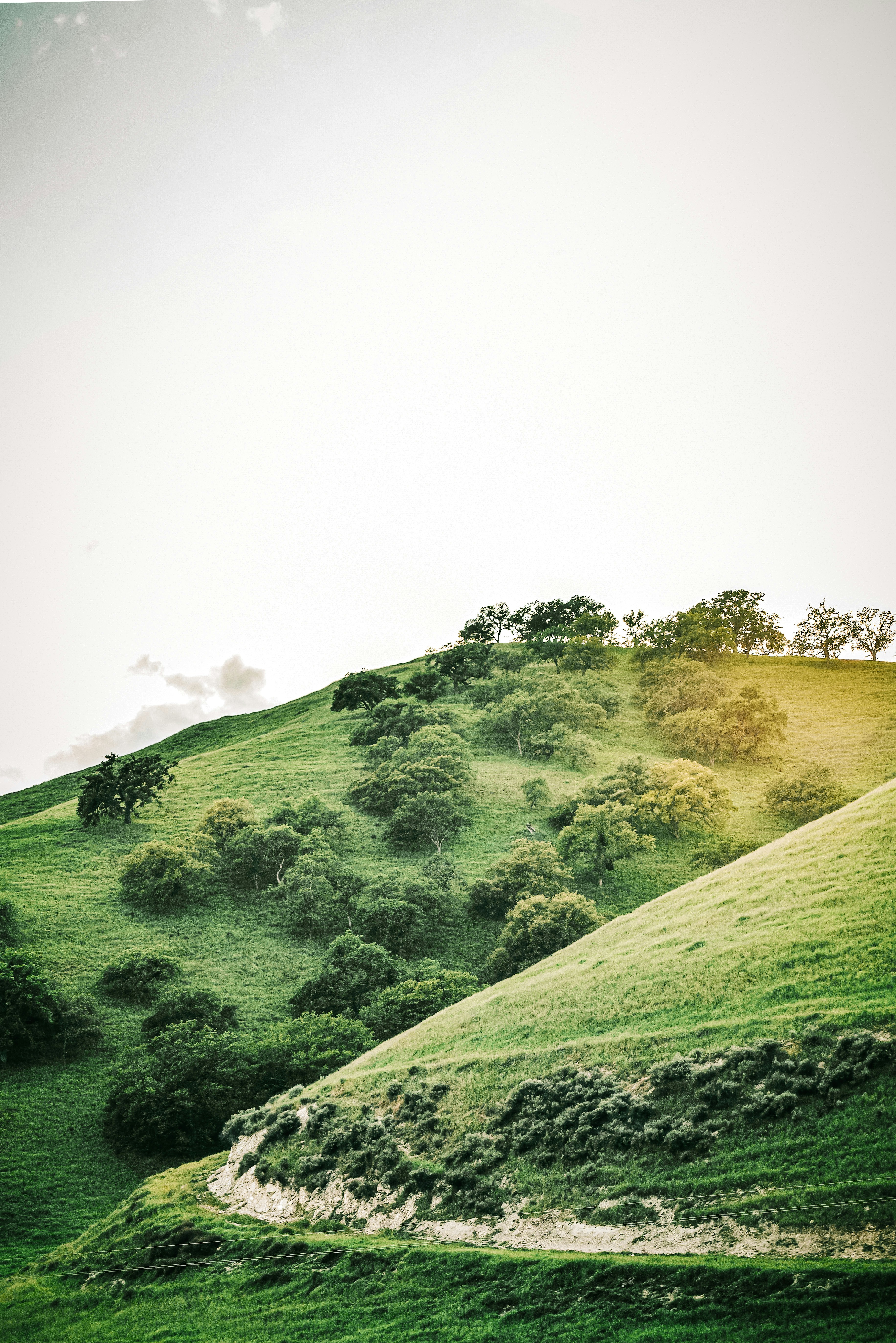 Photo by framesforyourheart