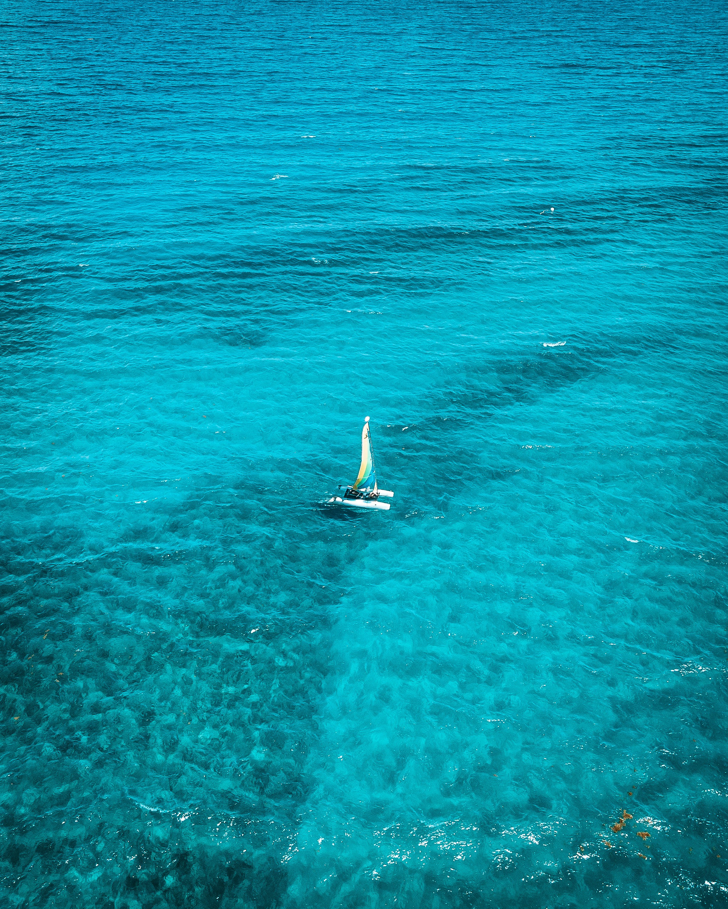 Foto zum Thema Weißes Segelboot tagsüber auf dem Gewässer – Kostenloses ...