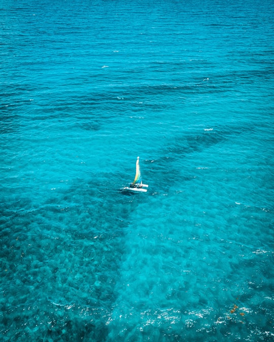 white sailboat on body of water during daytime in West Palm Beach United States