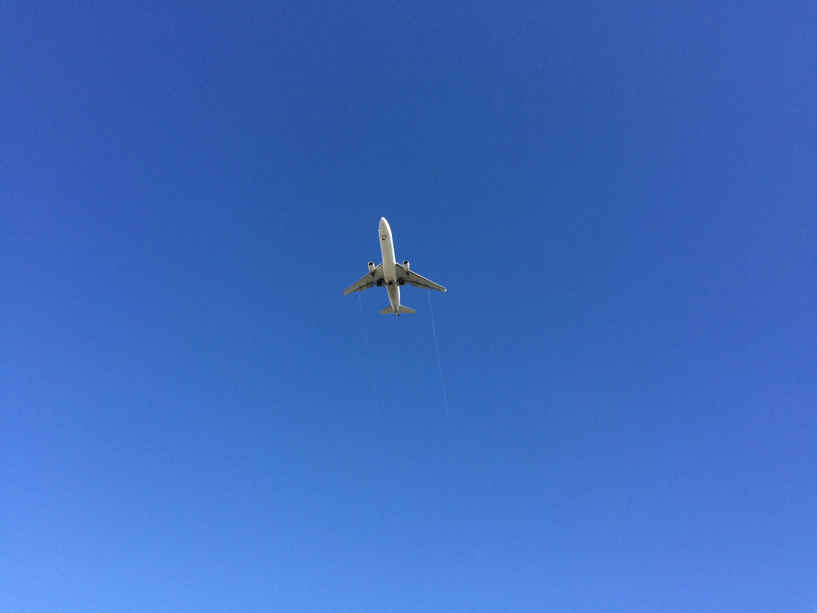 Flight in a beautiful sky blue